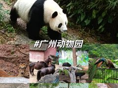 -广州动物园