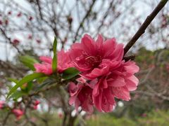 -广东花都湖国家湿地公园