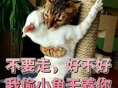 -星巴克(G15苏通大桥服务区西区)