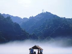 -仰天湖大草原
