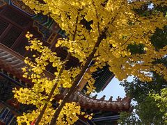 -宝通禅寺