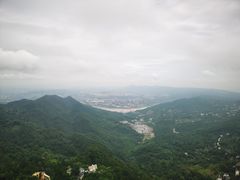 -大金鹰园