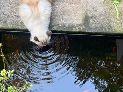 -谷咖啡·鲜花绿植花园餐厅