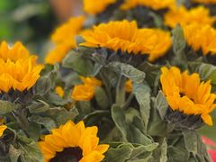 -隐食餐厅(金水湾公馆店)