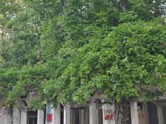 -西安市纺织公园