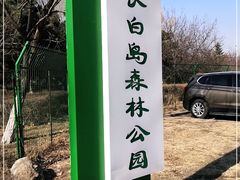 -长白岛森林公园