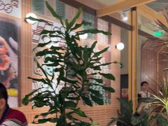 -一坐一忘云南菜(卓悦中心)