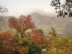 -塔川景区