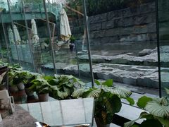 -外滩悦榕庄·海怡西餐厅