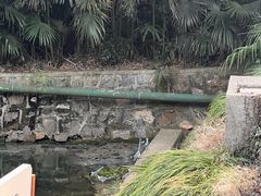 -南京珍珠泉风景区