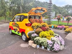 -上海共青森林公园