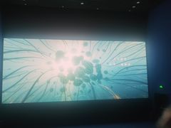 -SFC上影影城(港汇永华IMAX激光店)