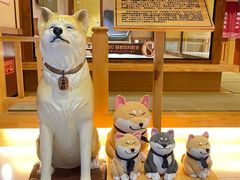 -大江户·温泉洗浴(浑南店)