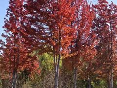 -回龙观体育文化公园