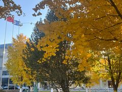 -锦江富园大酒店-游泳馆