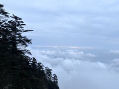 -瓦屋山景区
