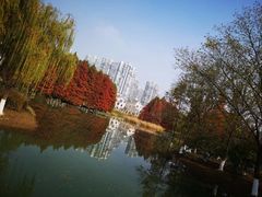 -白塘生态植物园