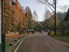 -山王坪喀斯特国家生态公园