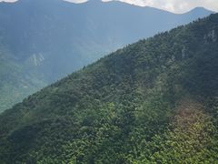 -庐山风景区花径公园