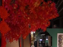 -小凤庭·地道湖北菜武昌鱼·藕汤(38年黄鹤楼店)