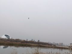 -哈尔滨大剧院