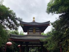 -大唐博相府酒店·陕西官府菜