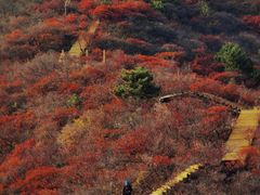 -南窖乡水峪村山情农家