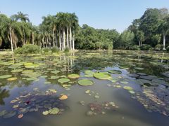 -中国科学院西双版纳热带植物园