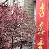  红杏枝头春意闹，春天来了