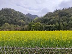 -贵阳市花溪国家城市湿地公园
