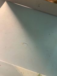 -涂tu指甲日式美甲美睫店