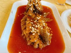 -清真·安乐园菜馆(茶南店)