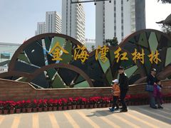 -北海金海湾红树林生态旅游区