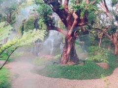 -Chom Cafe and Restaurant