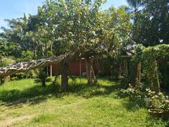 -瑞丽独树成林风景区