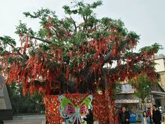 -芜湖方特东方神画