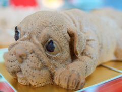 -福州泰禾铂尔曼酒店·大堂酒廊