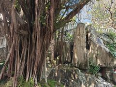 -乌山风景区