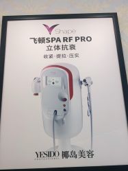 -YESIDO椰岛造型