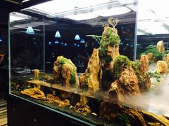 -泰谷酒店·太古码头闽菜自助餐厅