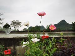 -Club Med地中海俱乐部·桂林度假村