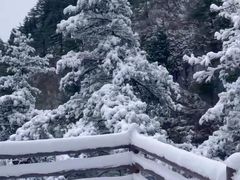 -秦岭天竺山景区