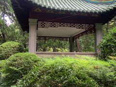 -叶家花园