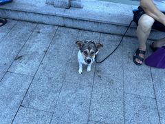 -光明港公园