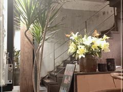 -Apollo·西班牙小酒馆(安福路店)