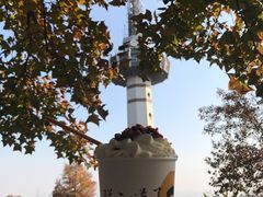 -茶颜悦色(岳麓山顶店)