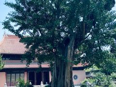 -苏州碑刻博物馆