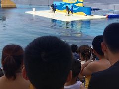 -秦皇岛乐岛海洋王国