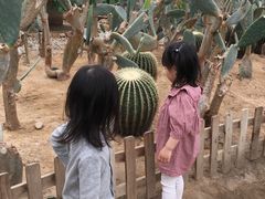 -上海都市菜园