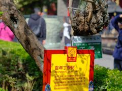 -西安市广仁寺